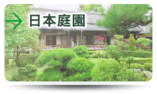 日本庭園