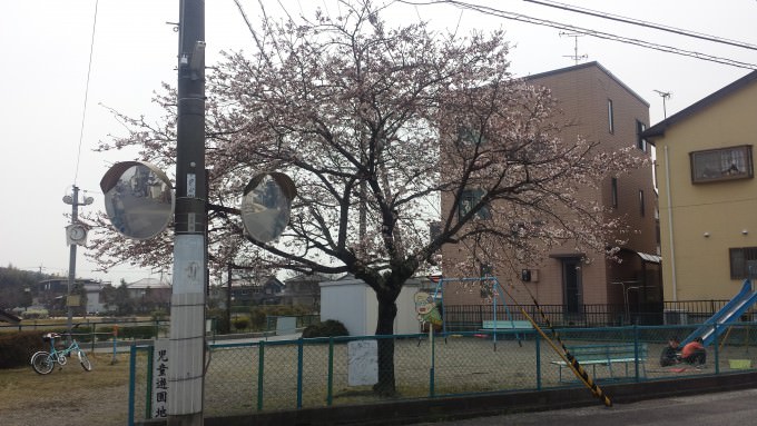 20160330_103229